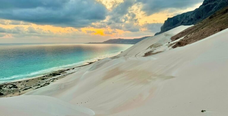 5 Eco-Friendly Activities to Experience on Socotra Island