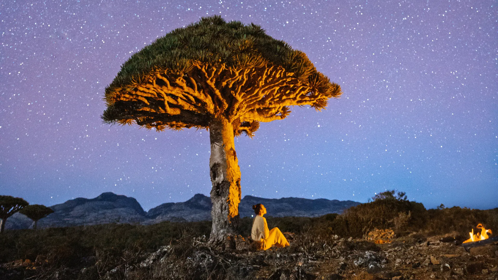 Photo from the Socotra Specialty Tours website