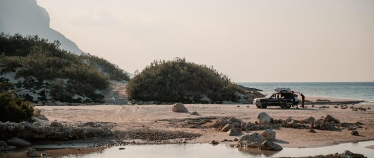 Socotra Nature Photography Contest