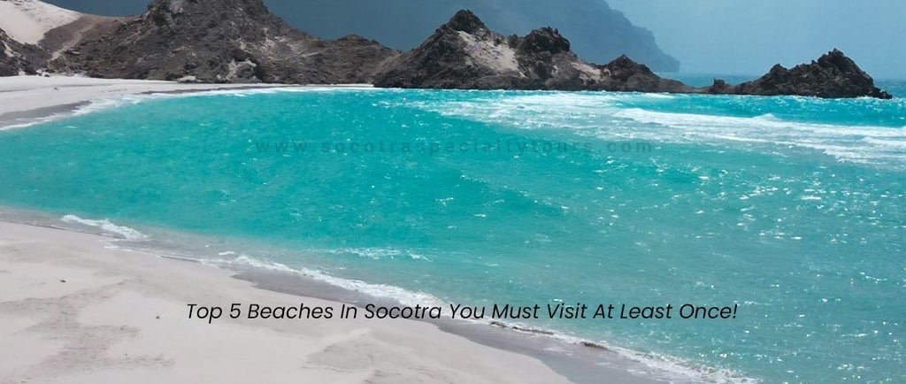 Top 5 Beaches In Socotra You Must Visit At Least Once