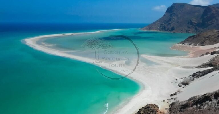 All About Visiting Detwah Lagoon on Socotra Island