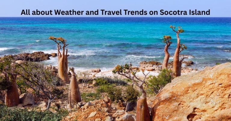 All about Weather and Travel Trends on Socotra Island