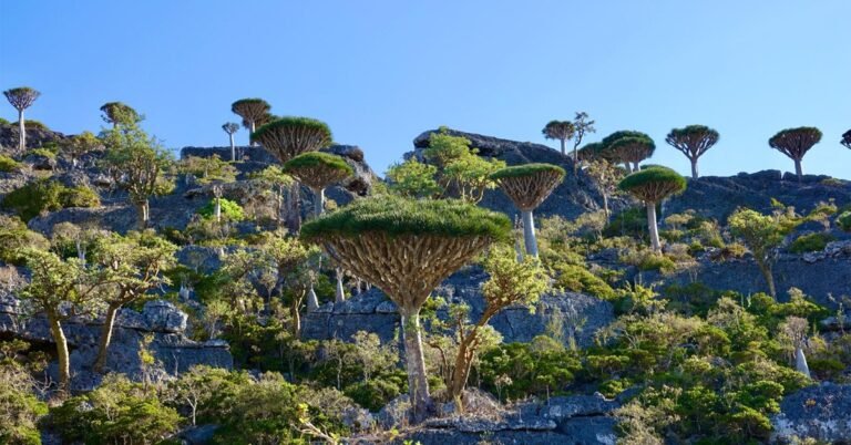 Is Socotra Safe to Travel