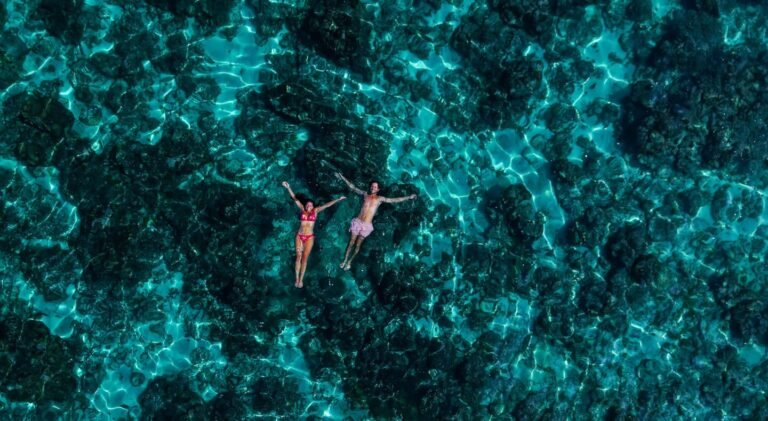 Top 7 Diving Spots in Socotra for Marine Life Enthusiasts